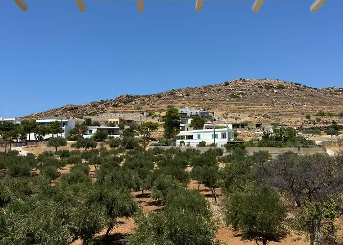 Syros & Posidhonia (Syros)